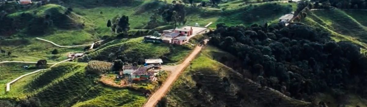 Miradas (Desde lo Alto) #9 Vereda Caruquia