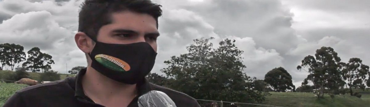 Ganaderos del Norte de Antioquia preocupados por crisis lechera.