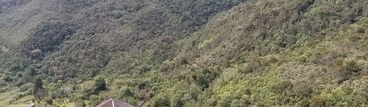 Guanacas Bosques de Niebla reserva natural y fortín hídrico, con más de tres décadas de historia.